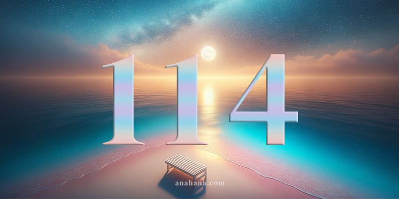 114 Número Angel