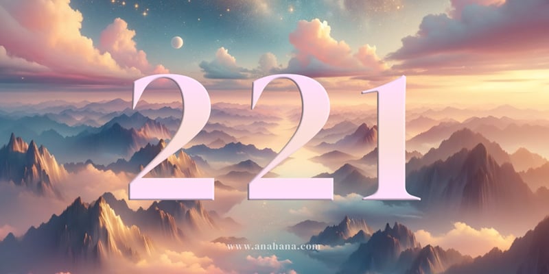 221 Număr de înger
