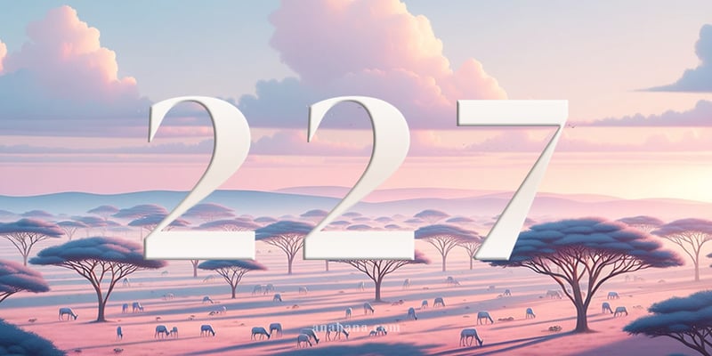 227 Angel Number