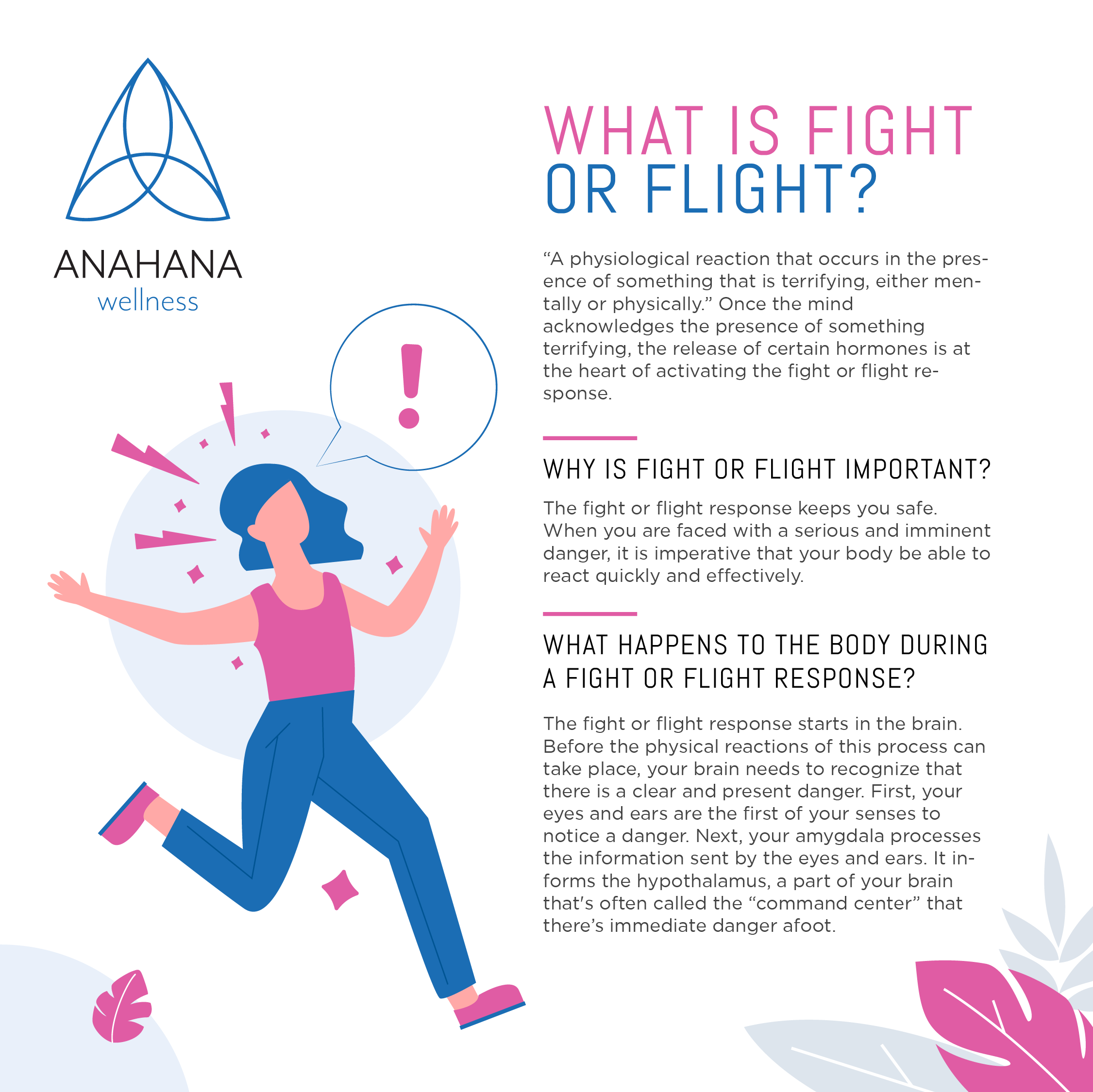 What is Fight or Flight