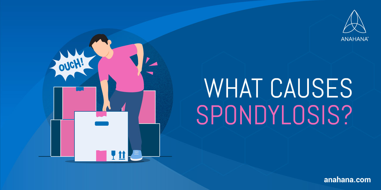 wat veroorzaakt Spondylose
