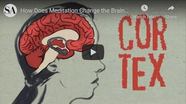 vidéo sur le fonctionnement de la méditation
