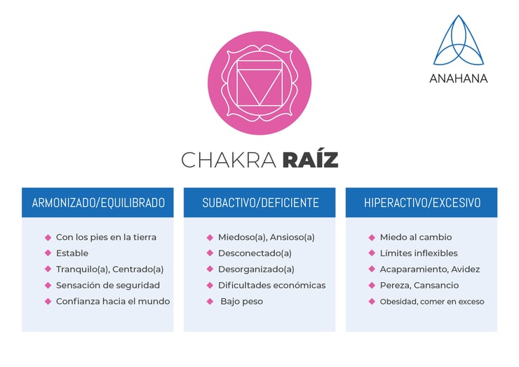 esquema del chakra raíz