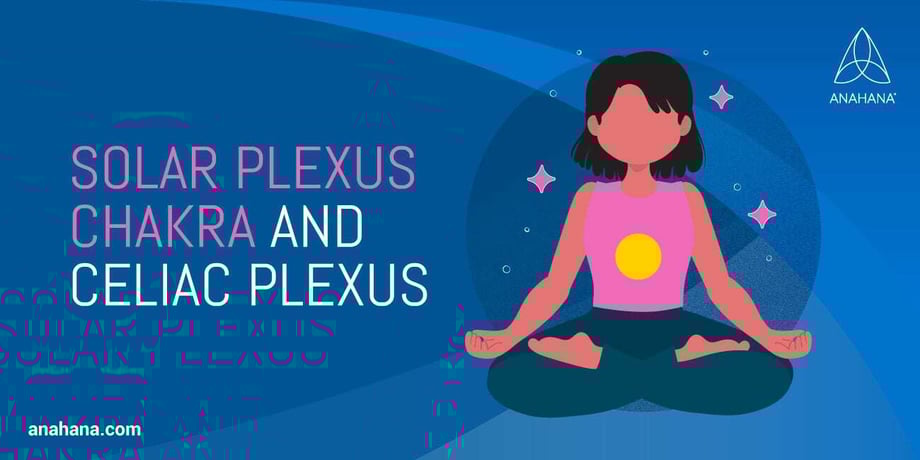 what are the functions of the celiac plexus
