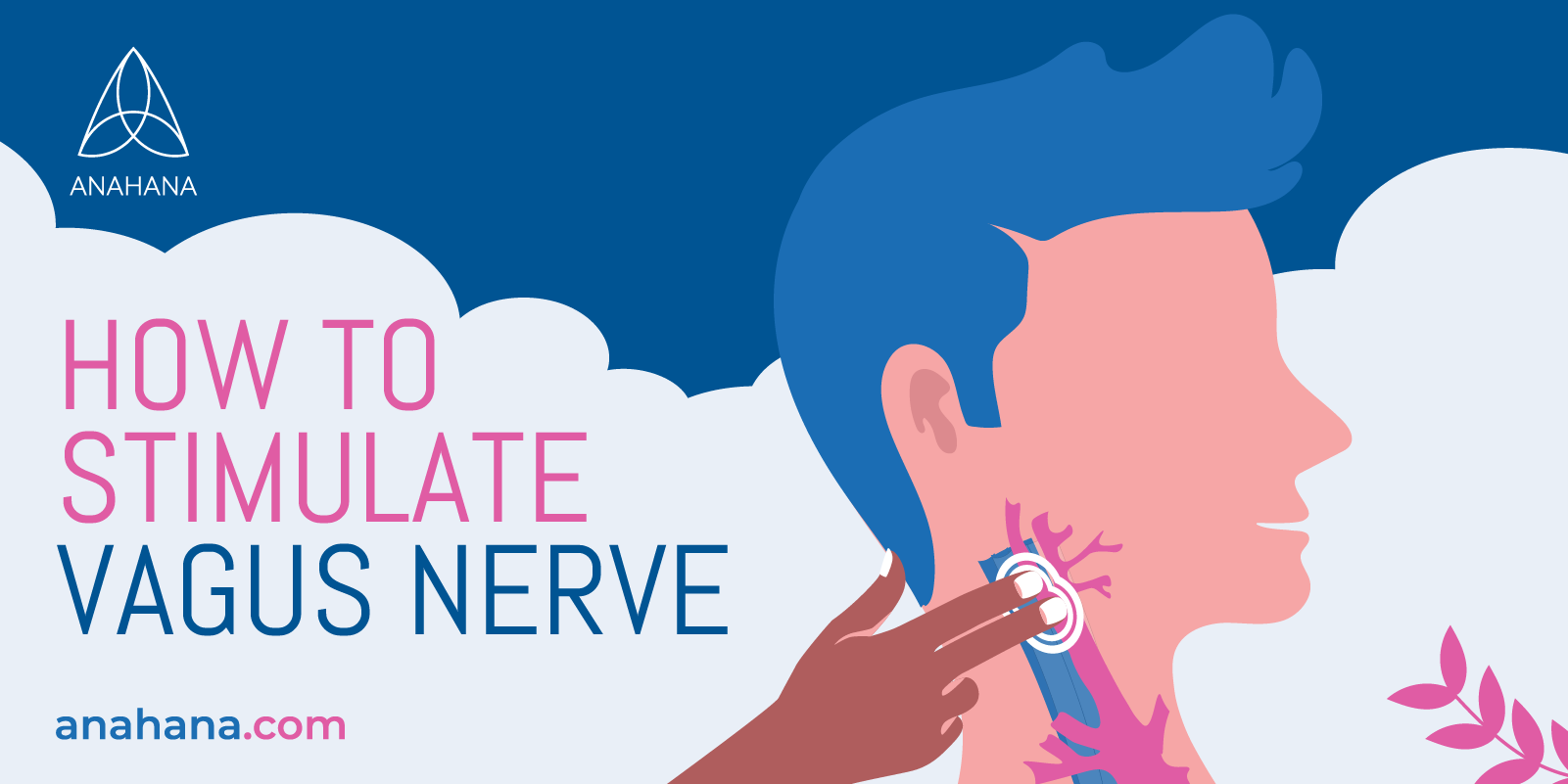 how to stimulate the vagus nerve