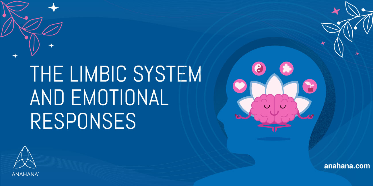 limbic system and emotional responses