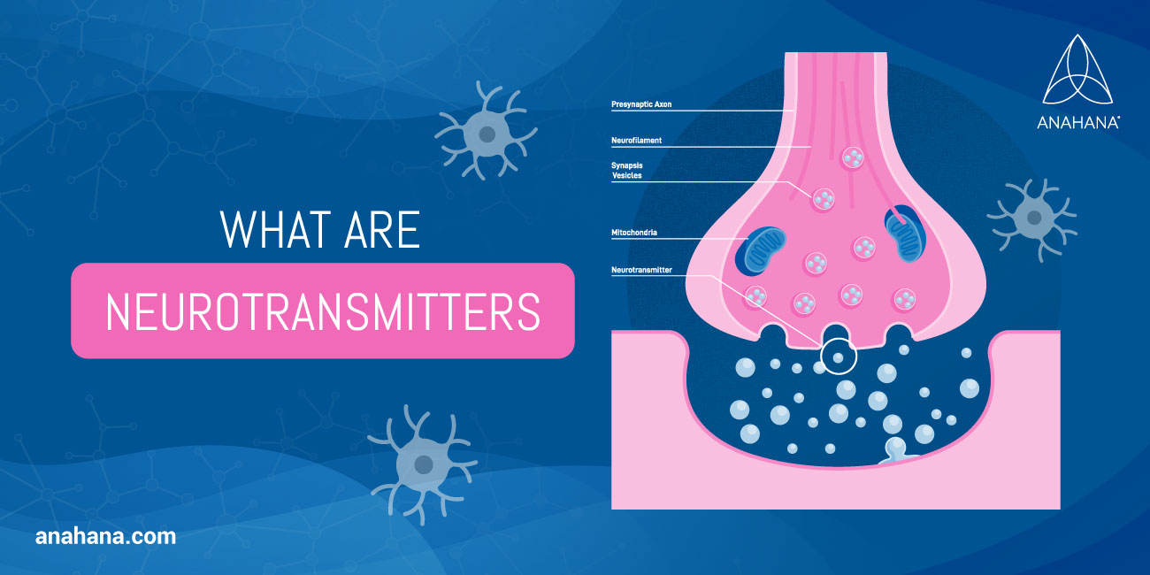 What are neurotransmitters