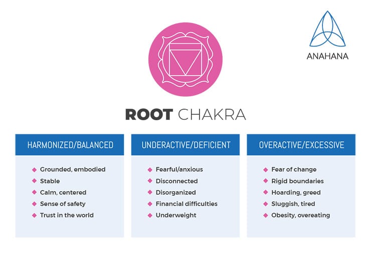 esquema del chakra raíz