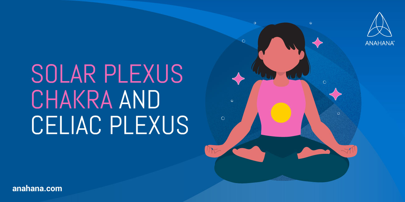 Welche Funktionen hat der Plexus celiacus?