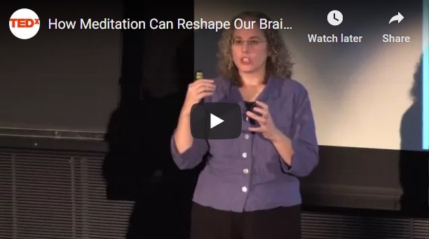 Ted talk on how meditation changes the brain