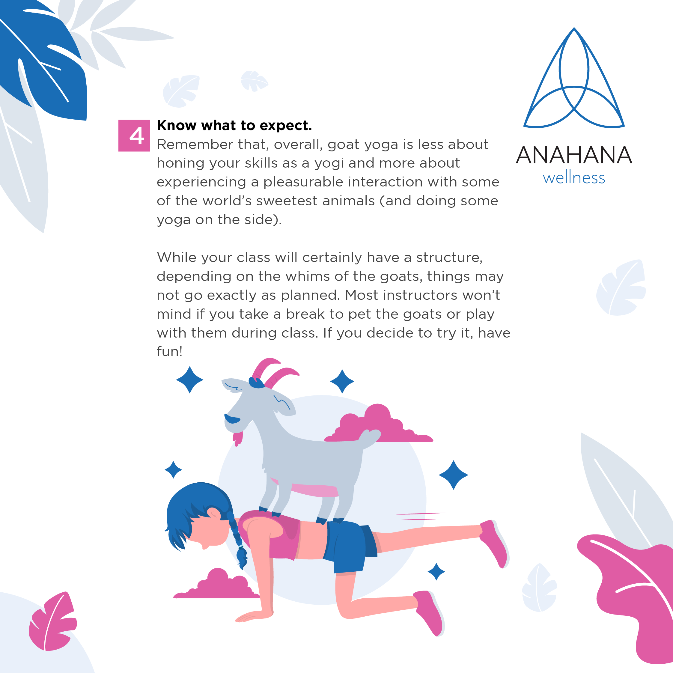 What is goat yoga, girl doing yoga with baby goat on her back