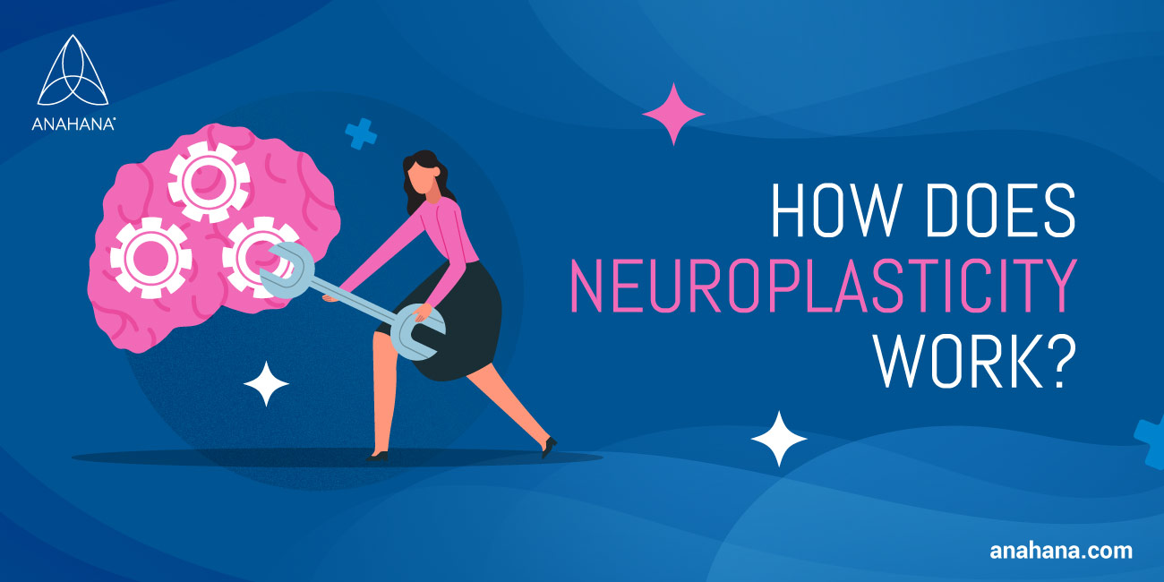 Hur fungerar neuroplasticitet?