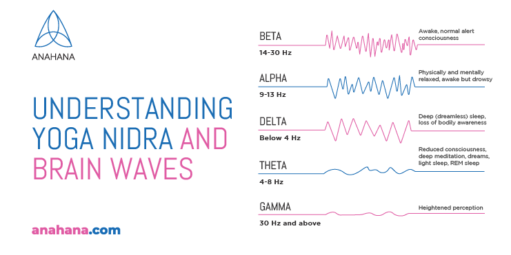 understanding yoga nidra and brain waves