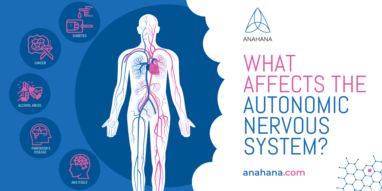 what affects the autonomic nervous system