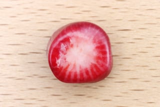 Corallo Featured Image