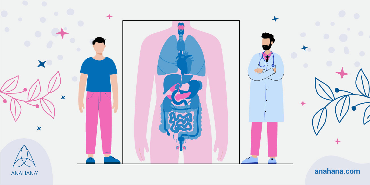 preguntas frecuentes sobre el sistema endocrino