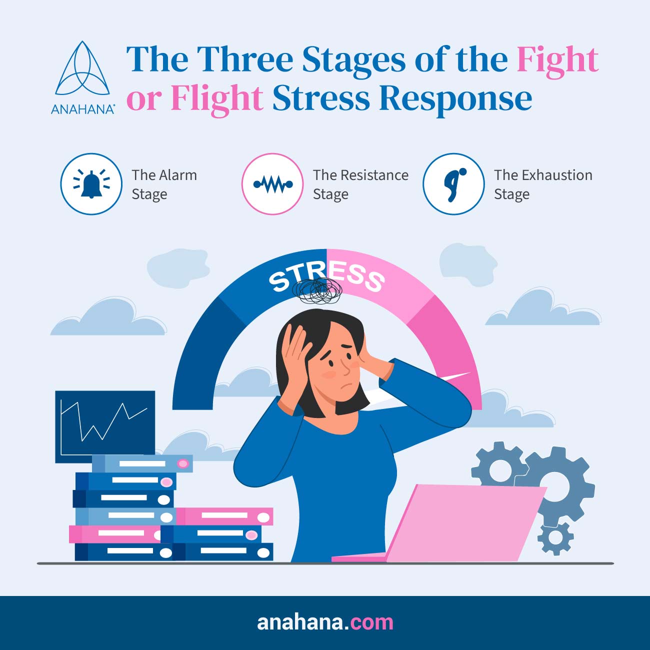 the 3 stages of fight or flight response