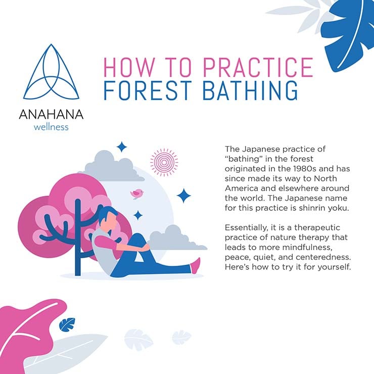 hur man utövar forest bathing