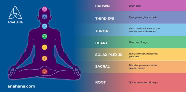 introducing the 7 chakra colors