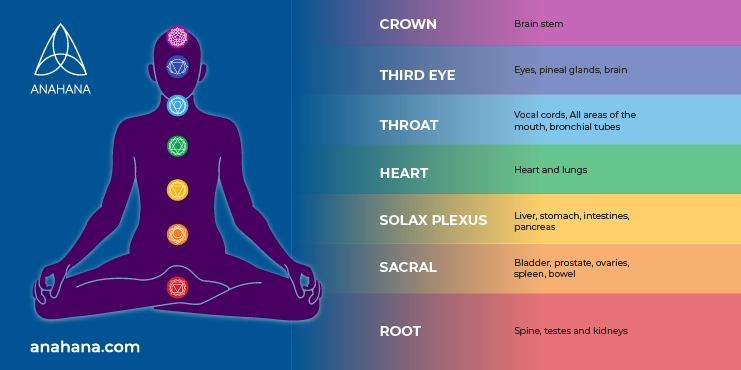panoramica del sistema dei chakra, la loro posizione e il colore corrispondente