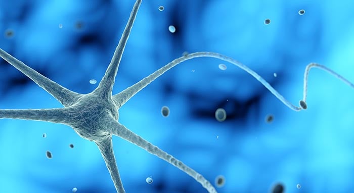 nerve cell in a blue background 3d illustration