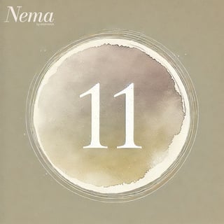 Elämänpolku numero 11 Featured Image