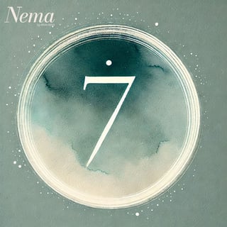 Elämänpolku numero 7 Featured Image