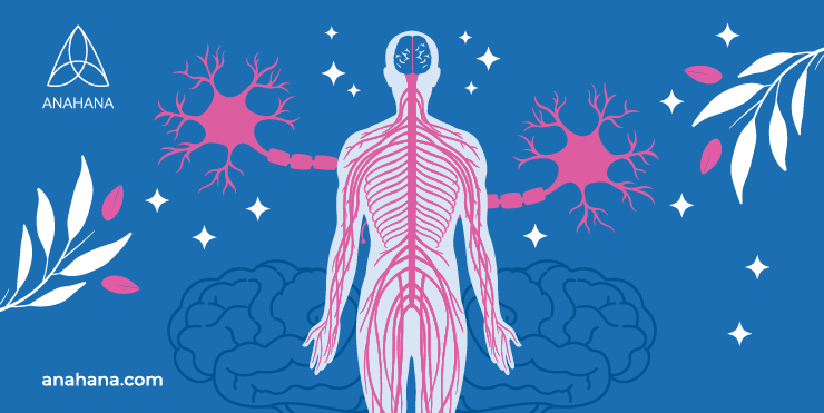 controlling the nervous system with alternate nostril breathing