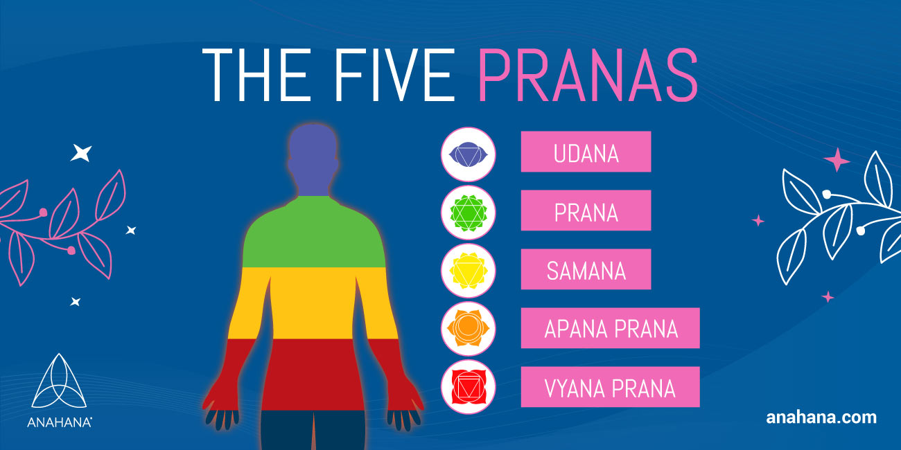 The fice pranas explained