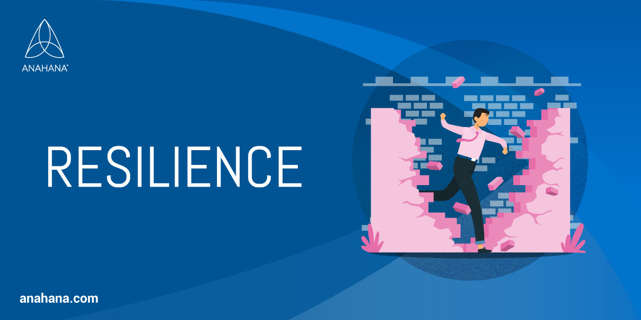 resilience explained