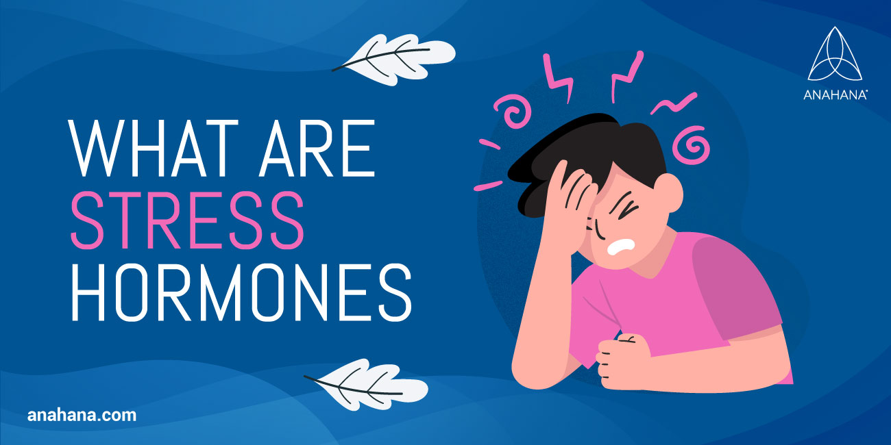 what are stress hormones