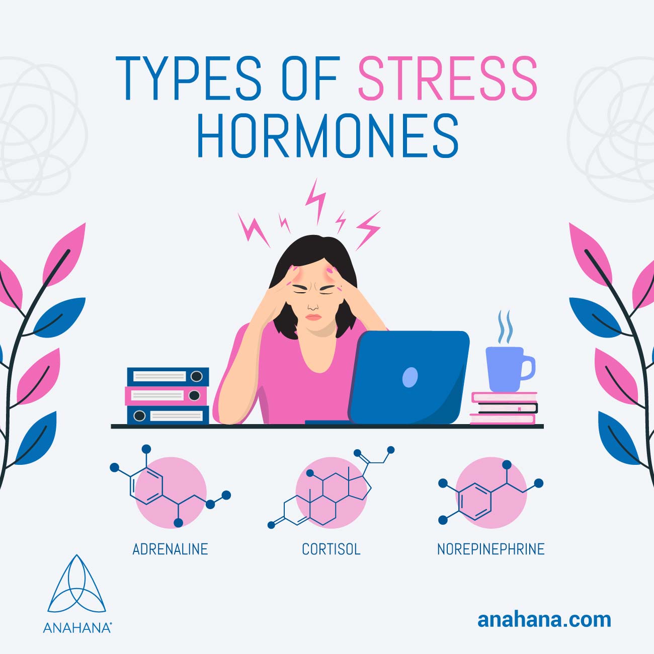 Arten von Stresshormonen