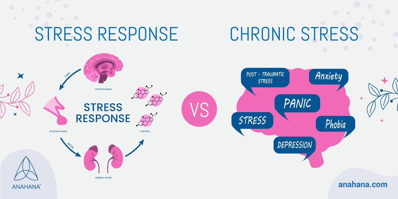 Der Unterschied zwischen Stressreaktion und chronischem Stress
