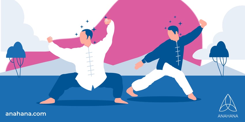 les différents styles de tai chi