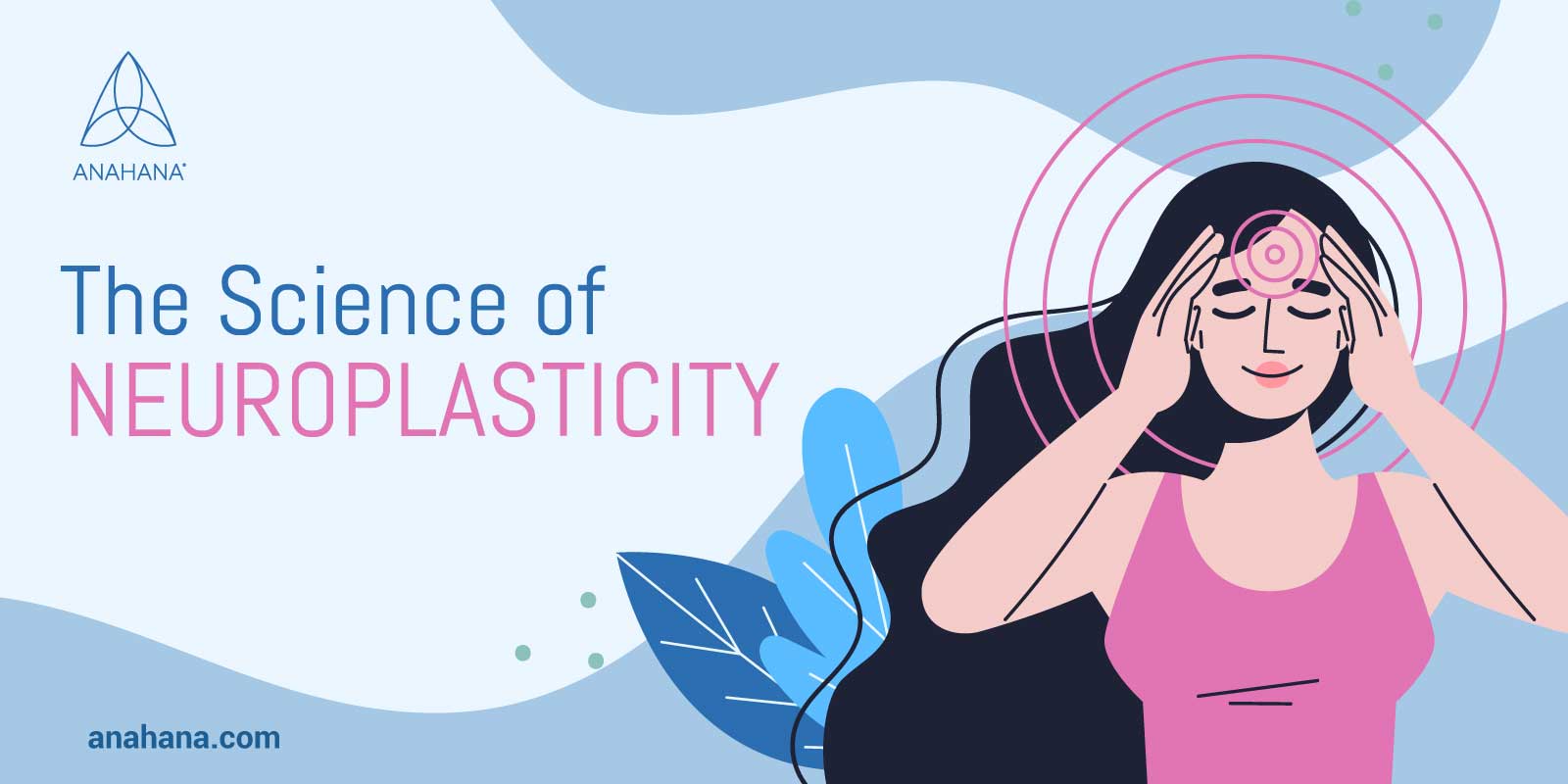 the science of neuroplasticity