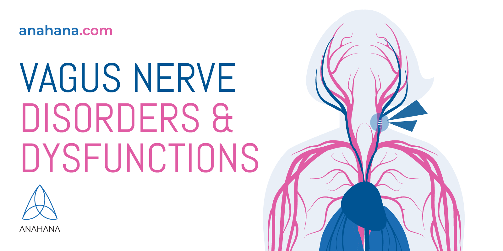 verschillende disfuncties en aandoeningen van de nervus vagus