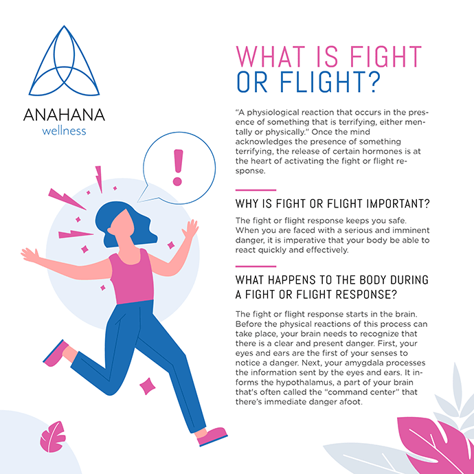 fight-or-flight-response-meaning-handcrafteddesigneronesies