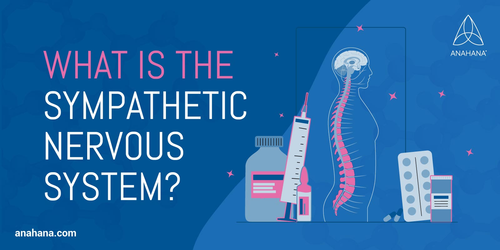Was ist das sympathische Nervensystem?