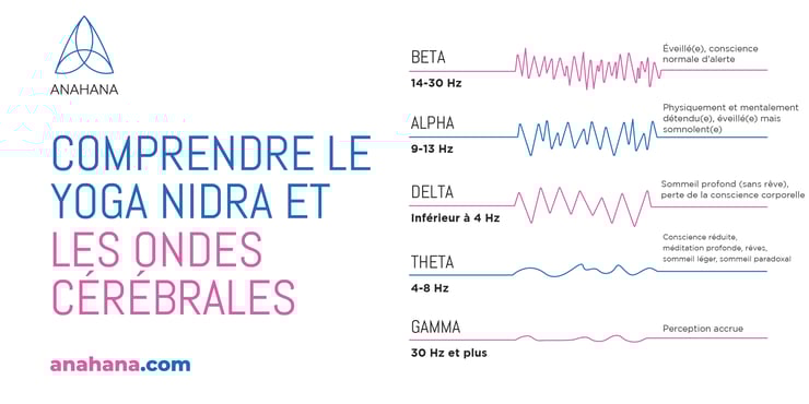yoga nidra et ondes cérébrales