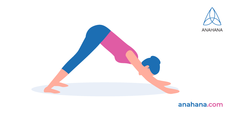 Iyengar yoga, vrouw doet neerwaartse hond met handen en benen op de vloer, bekken teruggeduwd en omhoog weg van de handen met de knieën recht en de hielen omlaag.