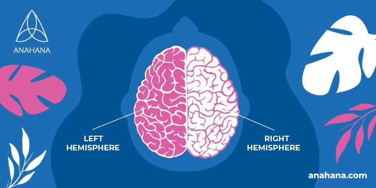 ilustração do hemisfério esquerdo e direito no cérebro