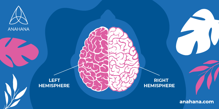 ilustrare a emisferei stângi și drepte din creier