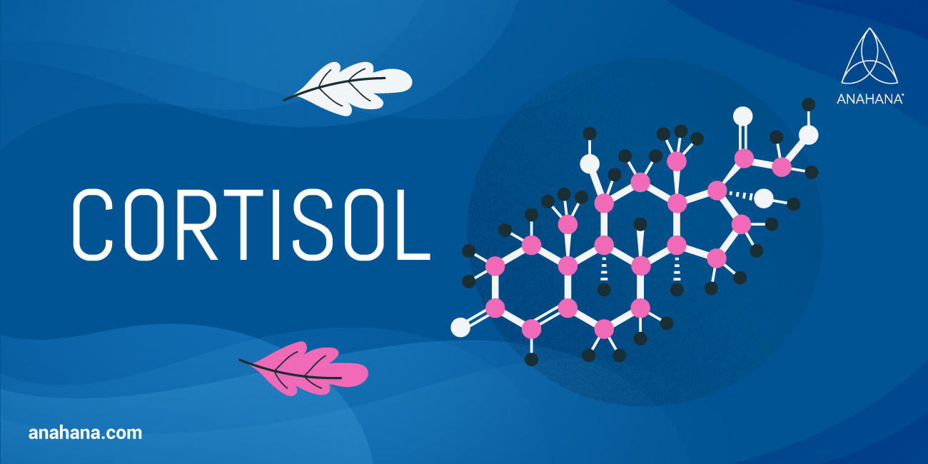 Cortizolul, hormonul stresului, explicat