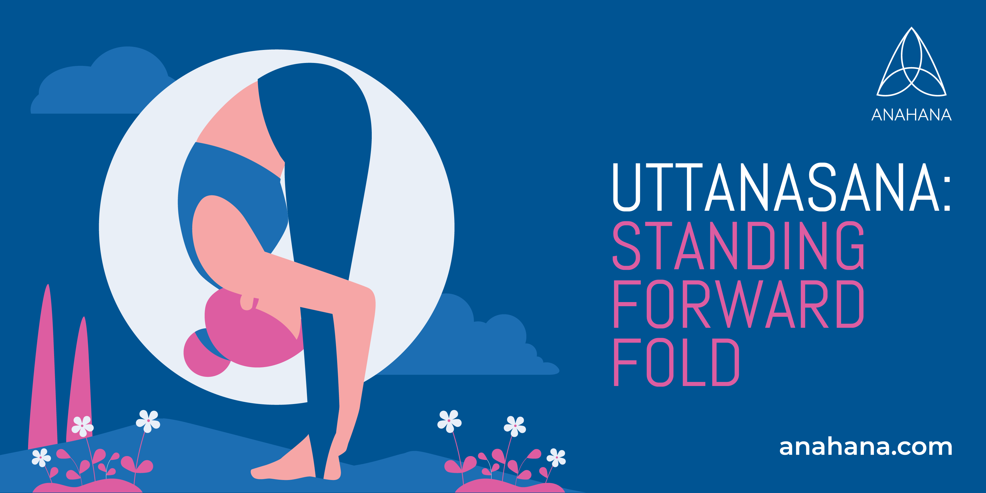 uttanasana, standing forward fold explained