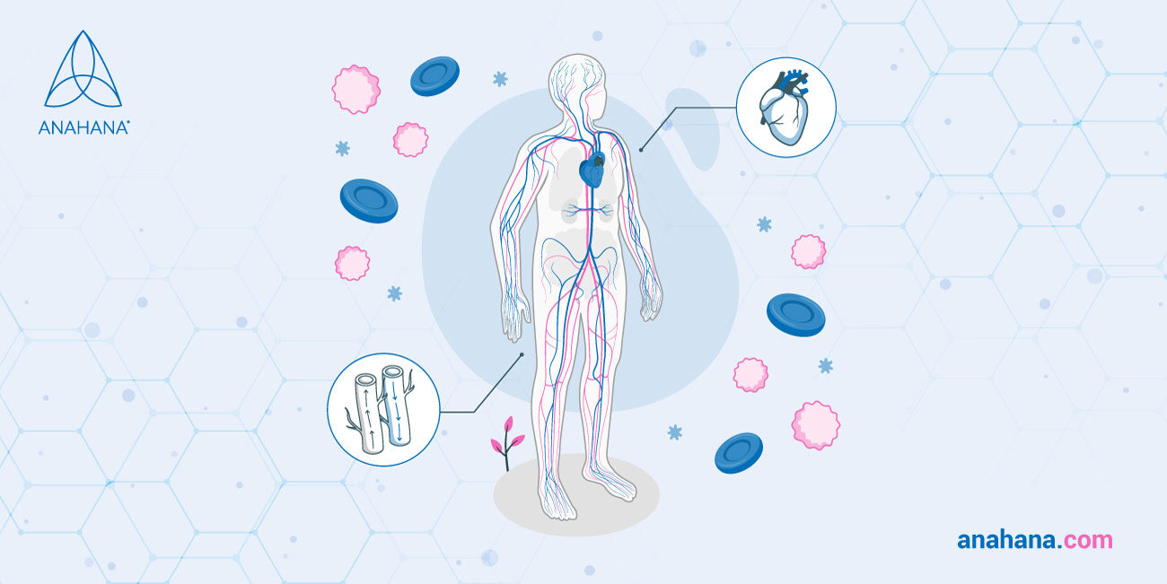 Cardiovascular Health
