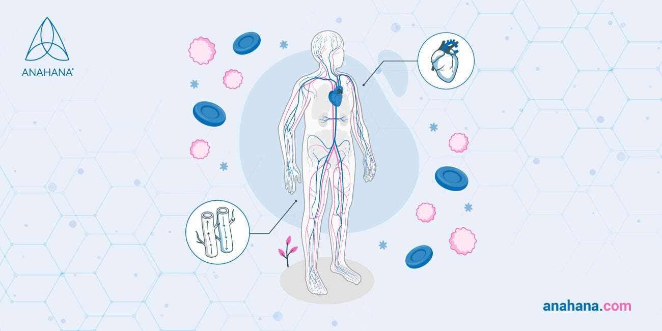 Cardiovascular Health