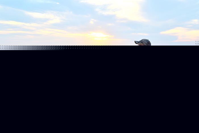 peace of mind man enjoying mindfulness at the beach