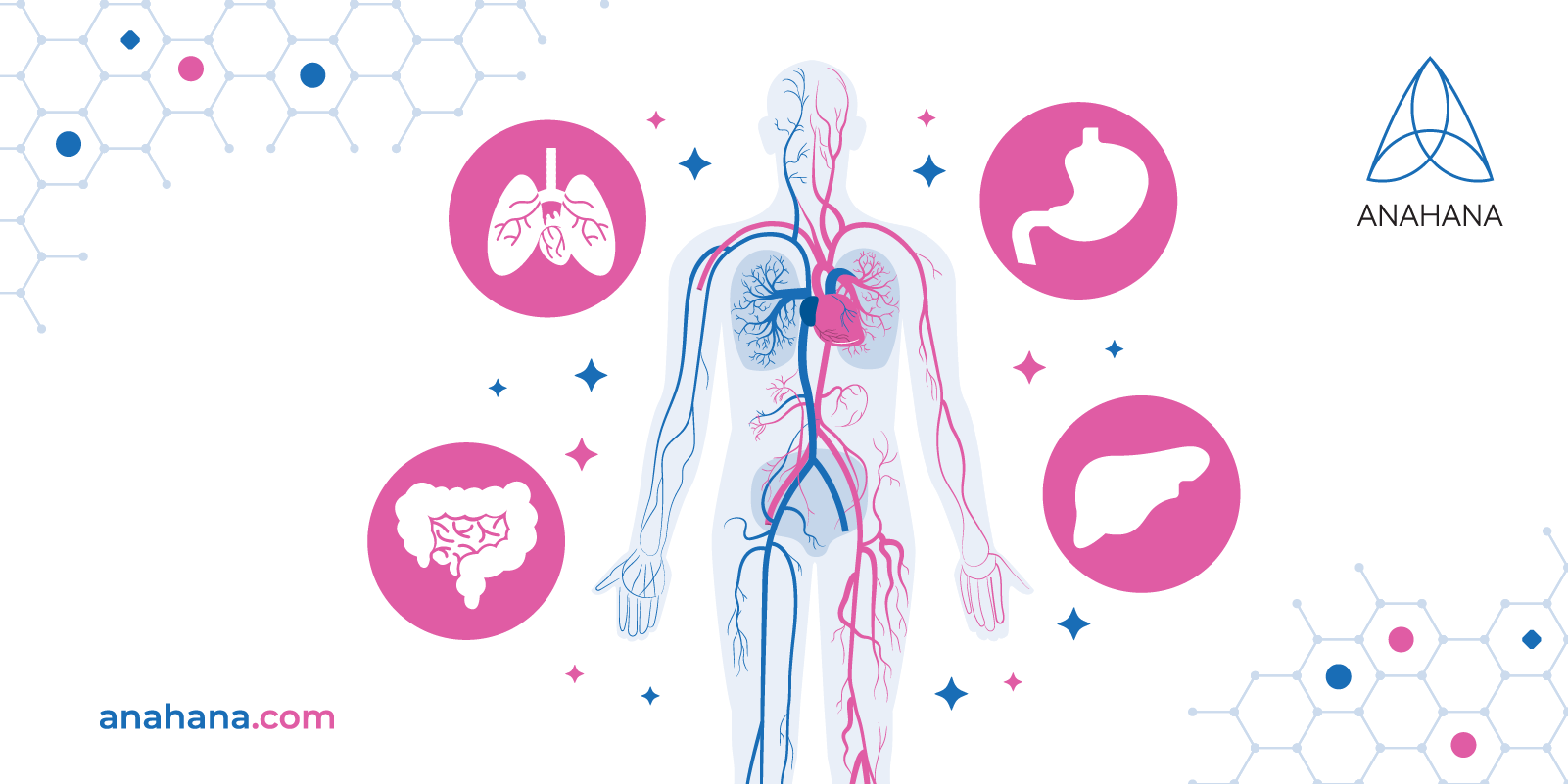 Polyvagal Theory and the Nervous System