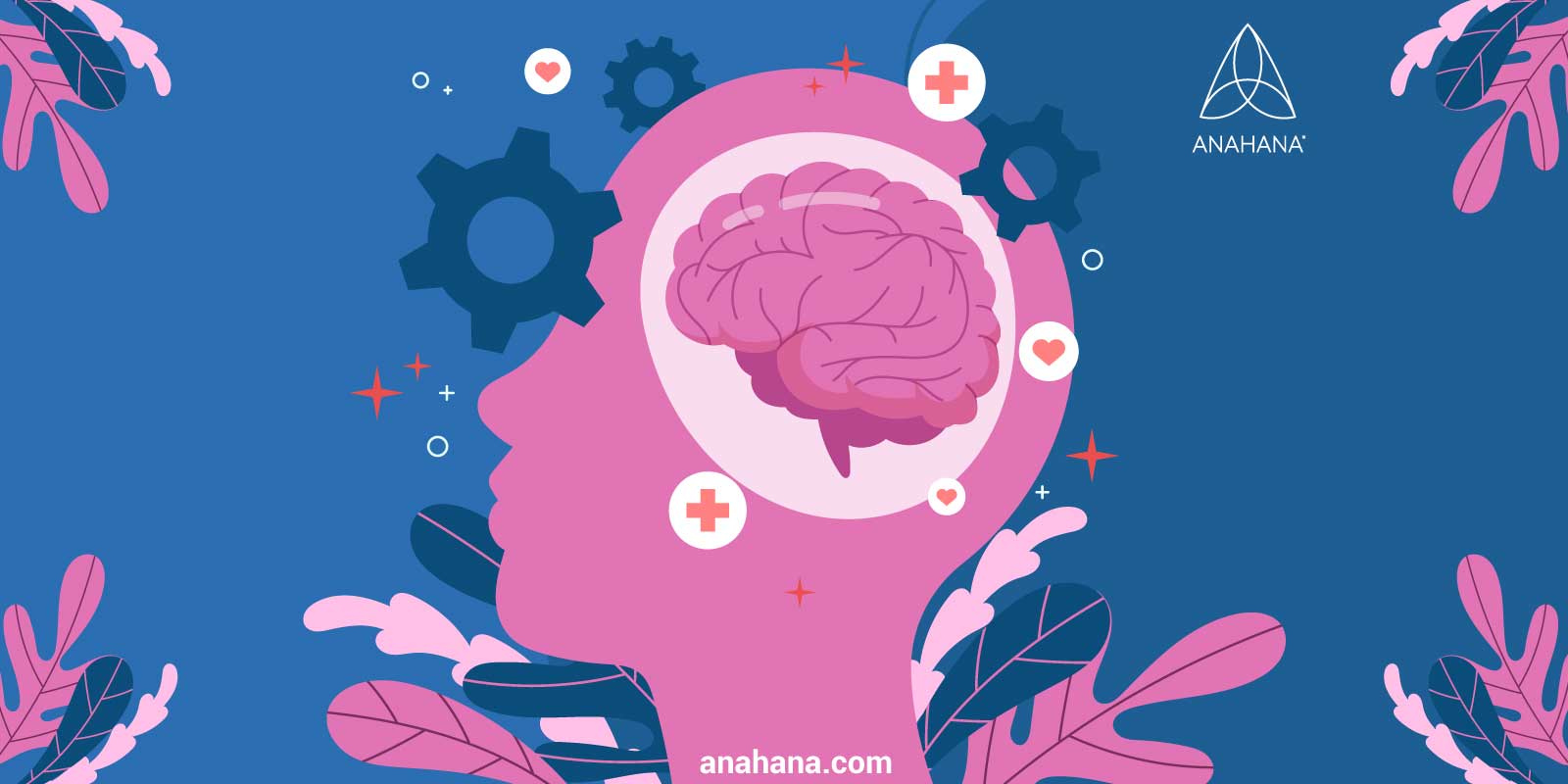 perché la neuroplasticità è importante