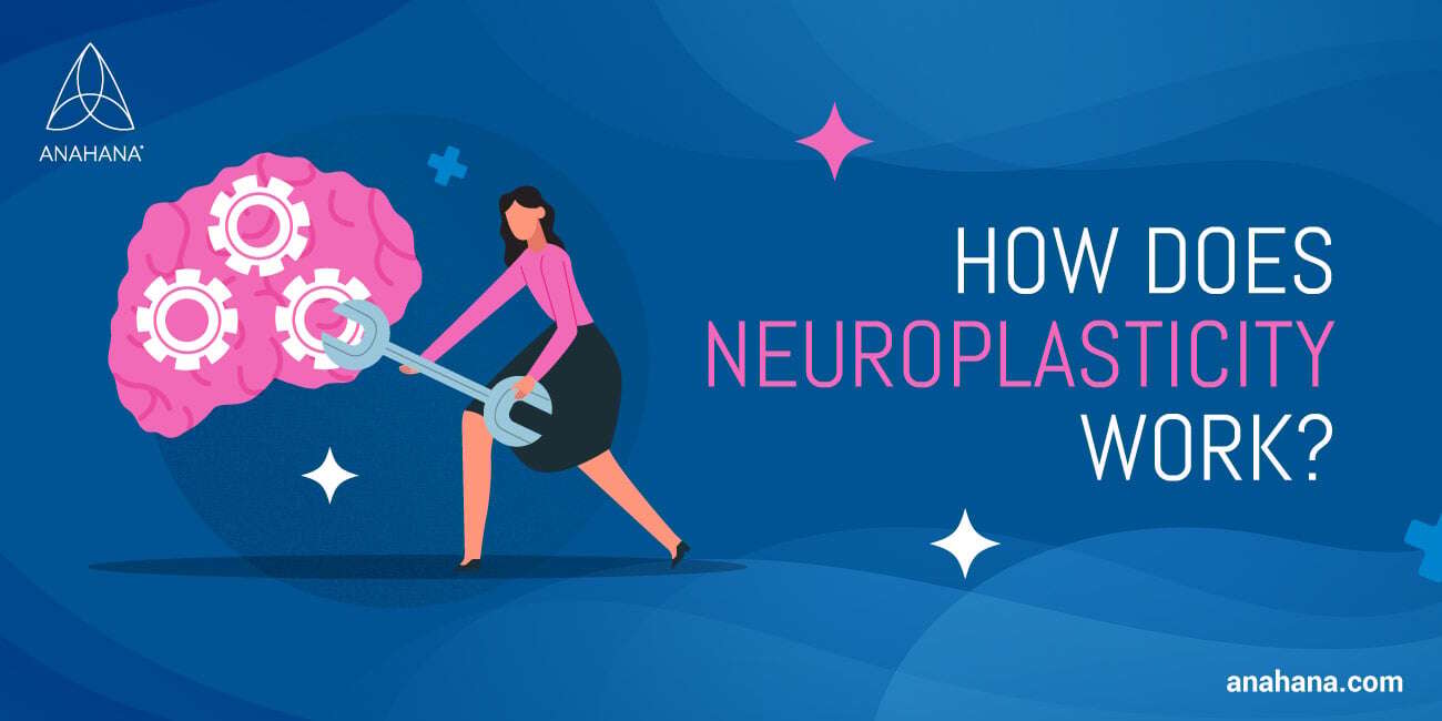 how does neuroplasticity work